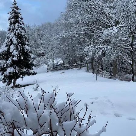 Marianne Lau Appartement