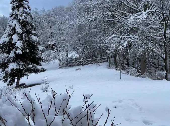 Marianne Lau דירה