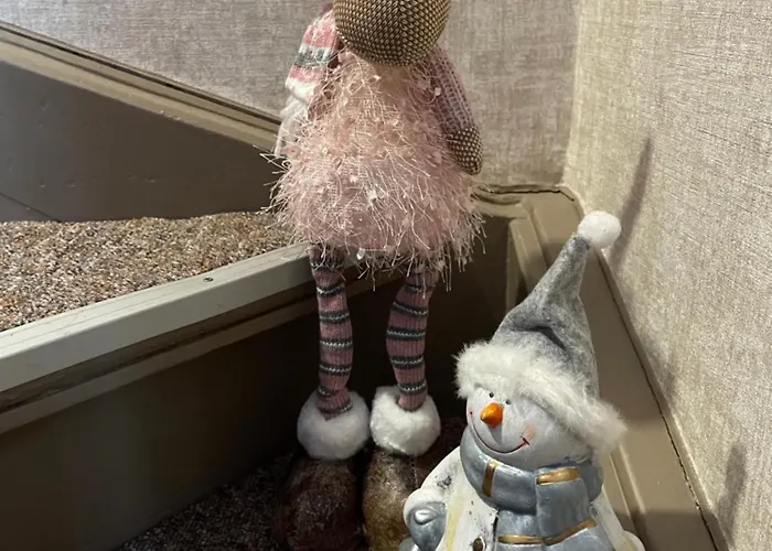 Marianne Lau ורניגרוד