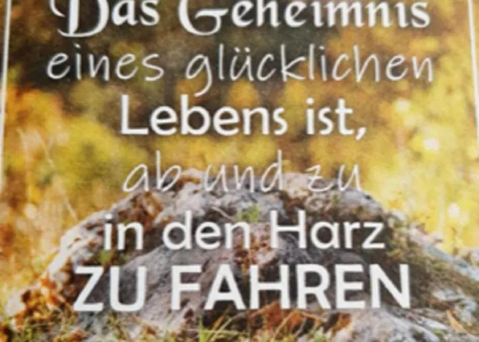 Marianne Lau * ורניגרוד